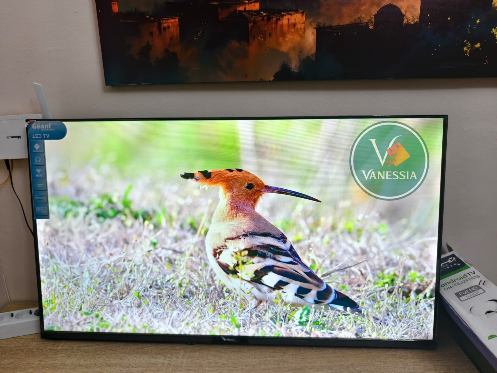 InShot_20260221_005712268